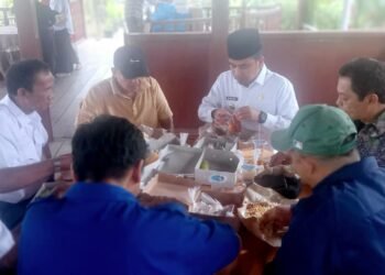 Walikota Solok