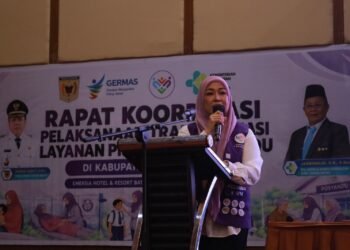 Ketua TP Posyandu