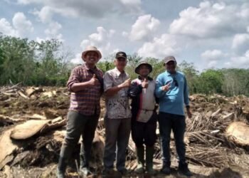 Petani Sawit